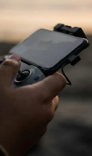 27516789-16968729